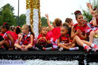 OkraStrut_2012-0736