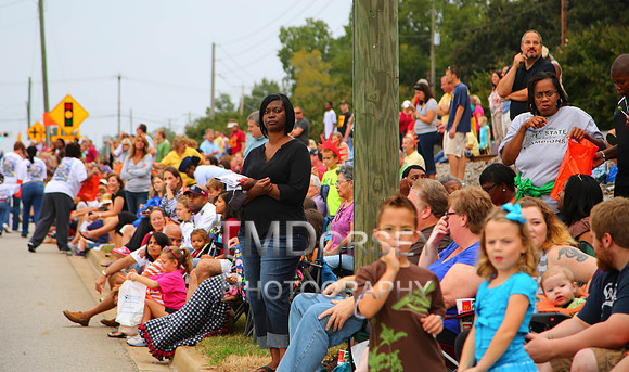 OkraStrut_2012-0733