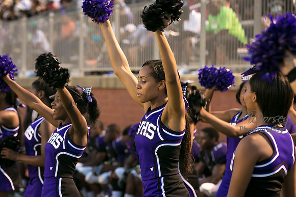 TMD_RVHS_wk1-7696