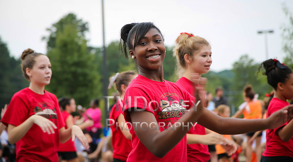 OkraStrut_2012-0741
