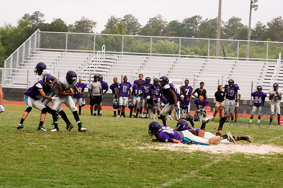 TMD_RVHS_2014-3699