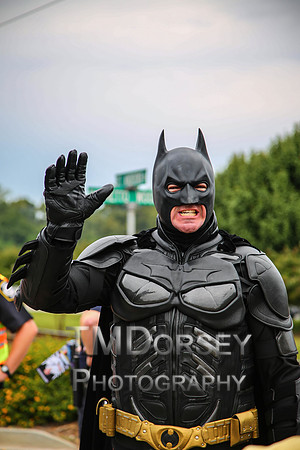 OkraStrut_2012-0732