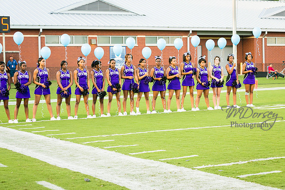 TMD_RVHS_wk1-7589