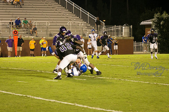 TMD_RVHS_wk1-7959
