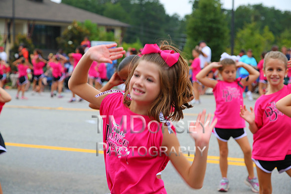 OkraStrut_2012-0763