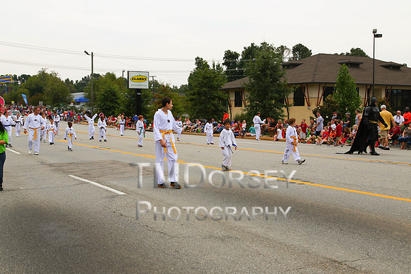 OkraStrut_2012-0755