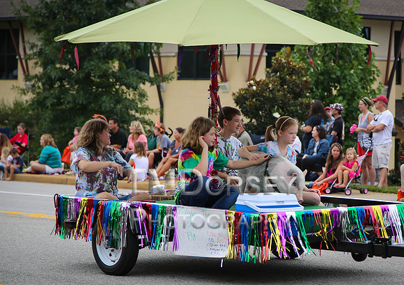 OkraStrut_2012-0750