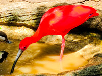 20080408_00204