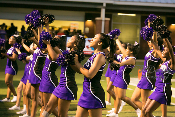 TMD_RVHS_wk1-7708