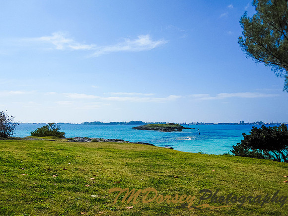 Bermuda-018