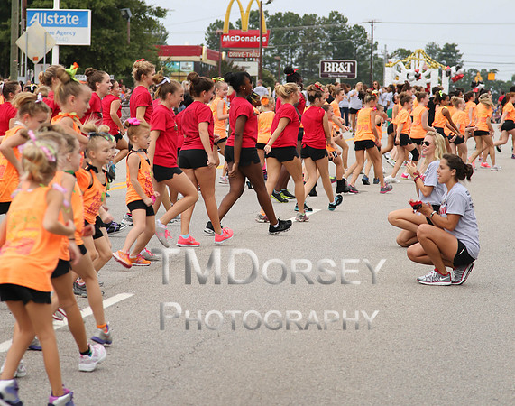 OkraStrut_2012-0744
