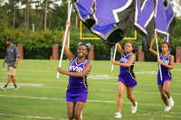 TMD_RVHS_wk1-7613