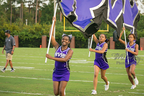 TMD_RVHS_wk1-7613