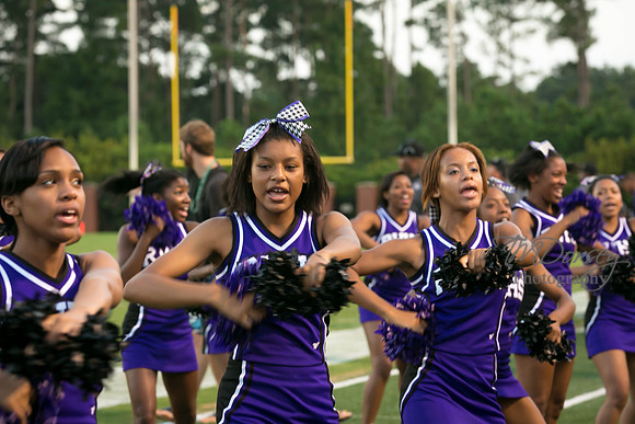 TMD_RVHS_wk1-7645