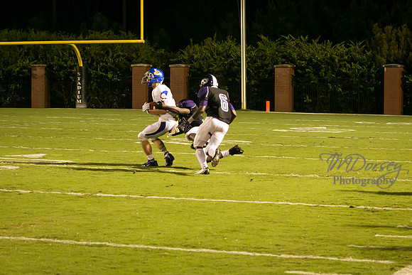 TMD_RVHS_wk1-7963