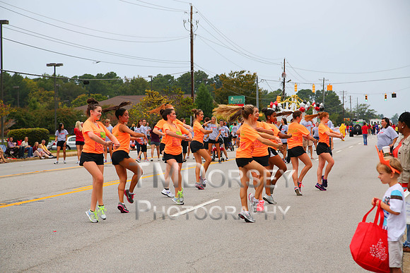 OkraStrut_2012-0726