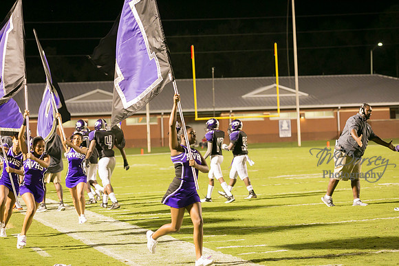 TMD_RVHS_wk1-8054