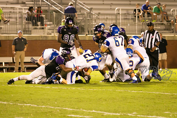 TMD_RVHS_wk1-7860