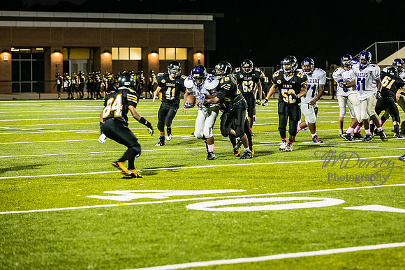 TMD_RVHS_wk6-9518