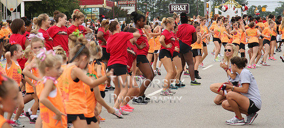 OkraStrut_2012-0747