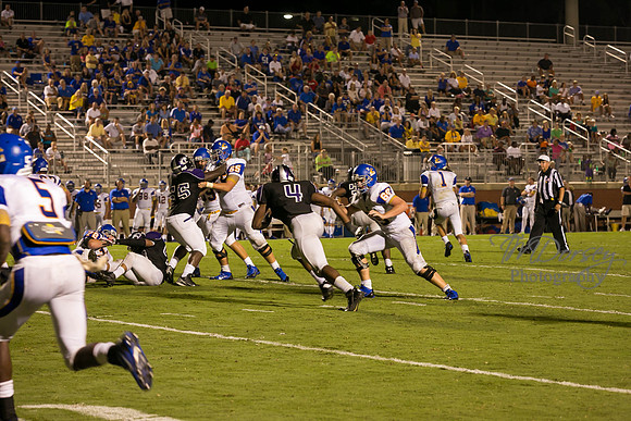 TMD_RVHS_wk1-7988