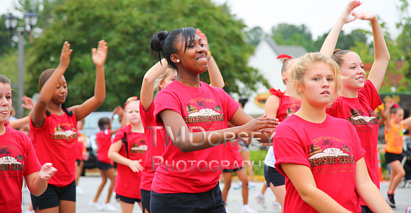 OkraStrut_2012-0730