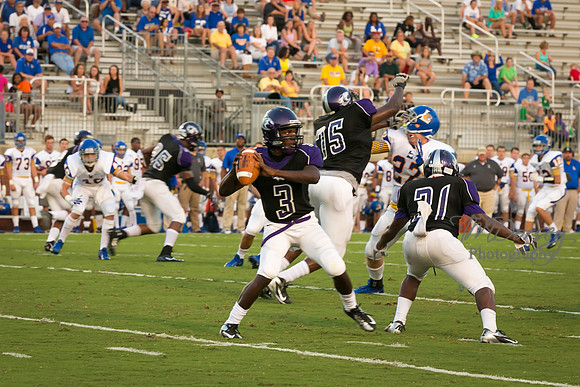 TMD_RVHS_wk1-7640