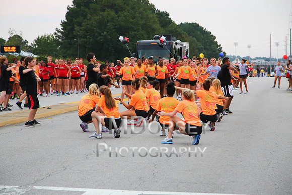 OkraStrut_2012-0710