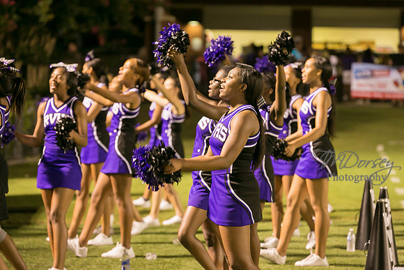 TMD_RVHS_wk1-7946