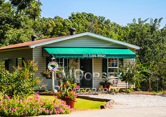 untitled shoot2012-0575