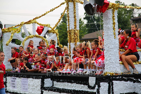 OkraStrut_2012-0735