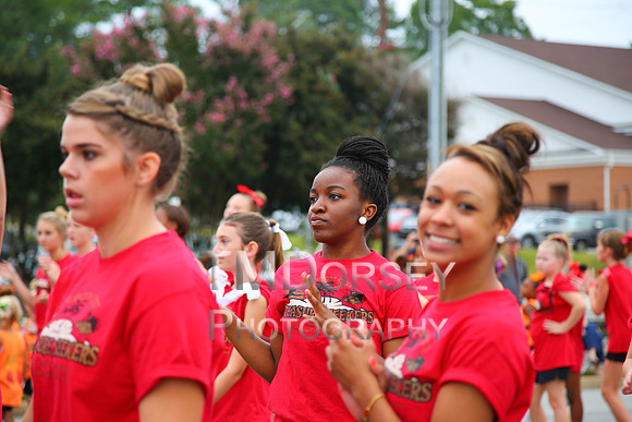 OkraStrut_2012-0716