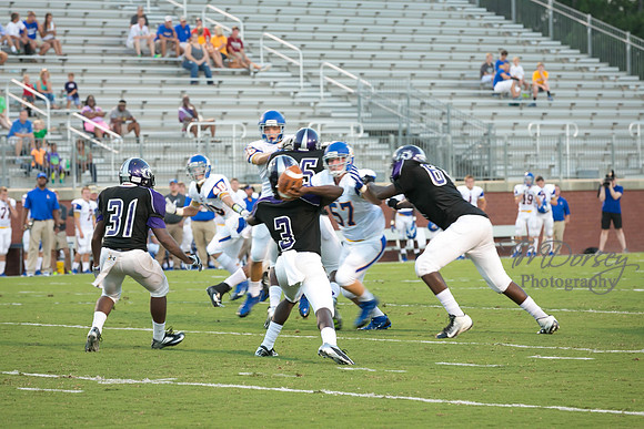 TMD_RVHS_wk1-7664