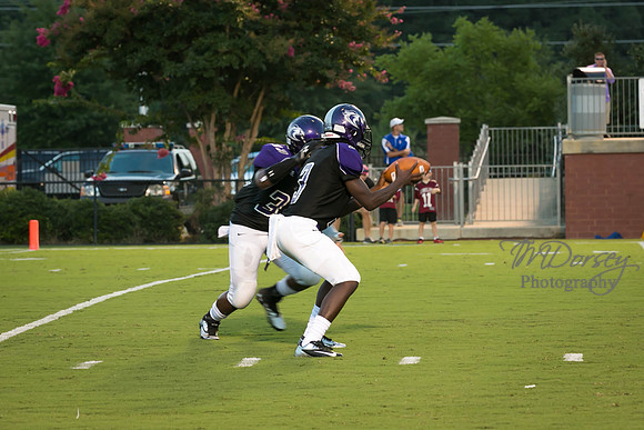 TMD_RVHS_wk1-7678