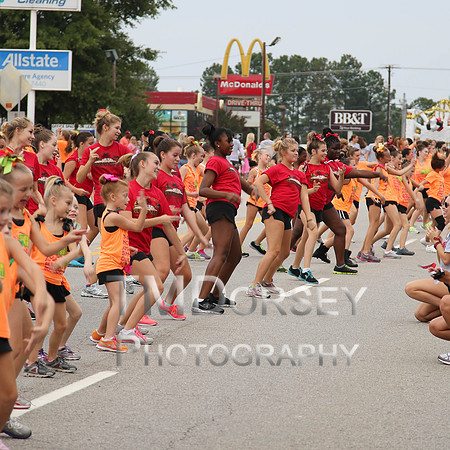 OkraStrut_2012-0745