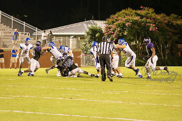 TMD_RVHS_wk1-8057