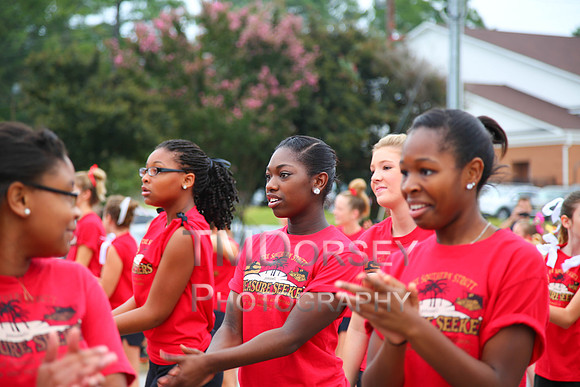 OkraStrut_2012-0717