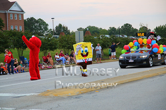 OkraStrut_2012-0698