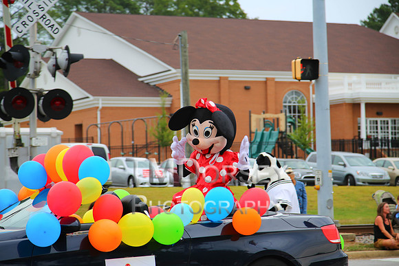 OkraStrut_2012-0702