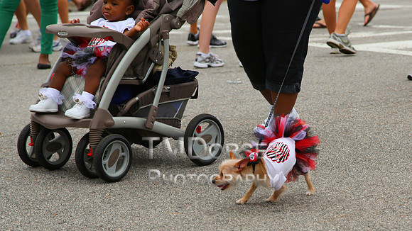 OkraStrut_2012-0708