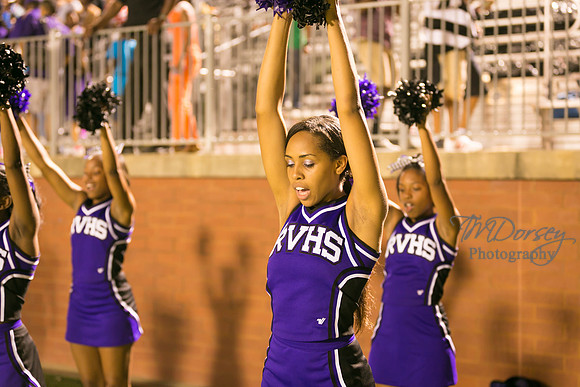 TMD_RVHS_wk1-7821