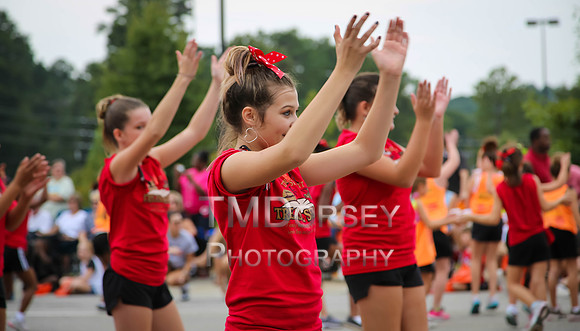 OkraStrut_2012-0740