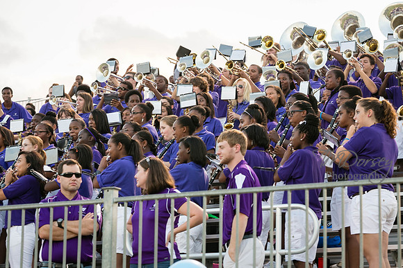 TMD_RVHS_wk1-7636