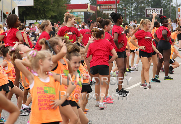 OkraStrut_2012-0748