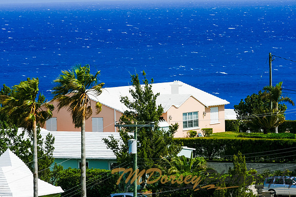 Bermuda-237