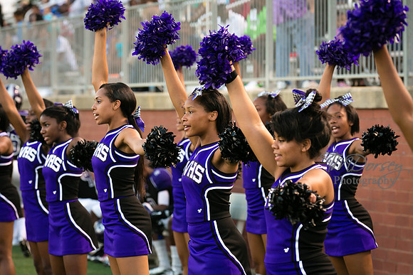 TMD_RVHS_wk1-7635