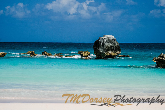Bermuda-254