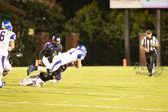 TMD_RVHS_wk1-7863