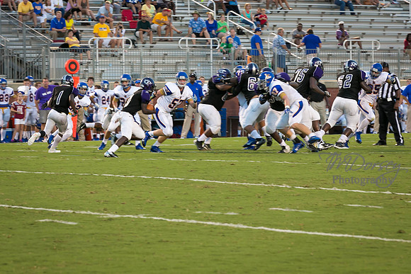 TMD_RVHS_wk1-7688