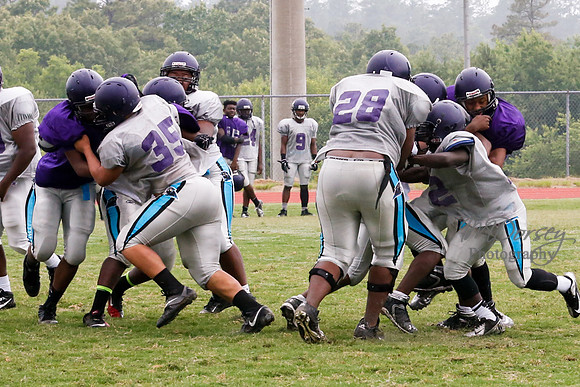 TMD_RVHS_2014-3689